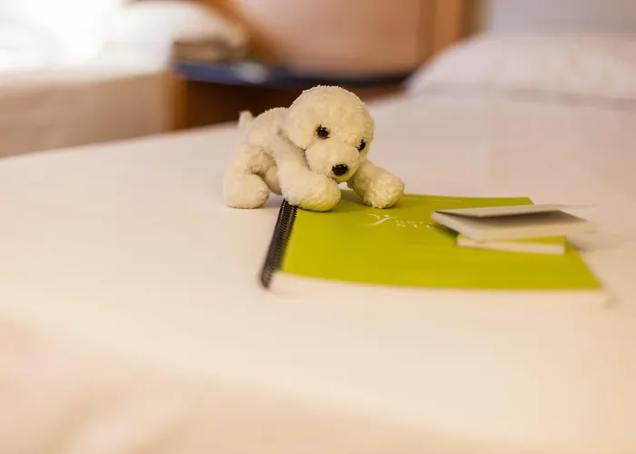 Silken Rona Dalba Hotel 3*